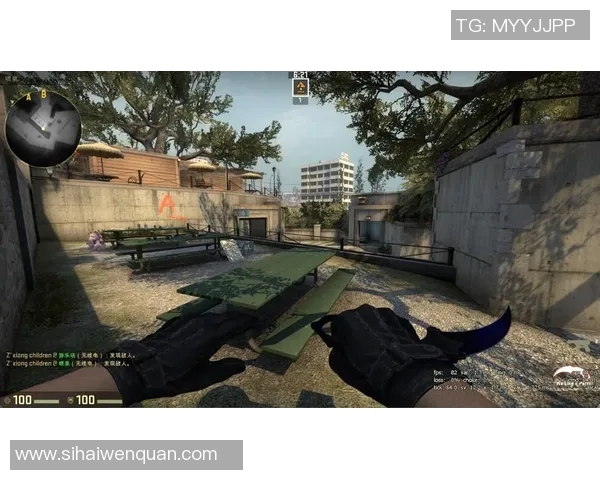 深入分析FPX在CSGO比赛中的控制策略与战术布局