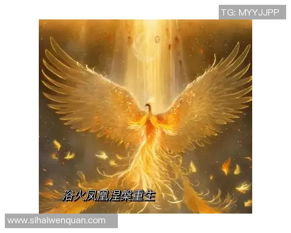 WE战队的蜕变历程从荣耀巅峰到重塑自我之路